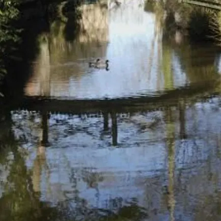 Avec Piscine Chauffee, Tennis Et Jardin Pres De Beaumont-sur-sarthe * Maresche