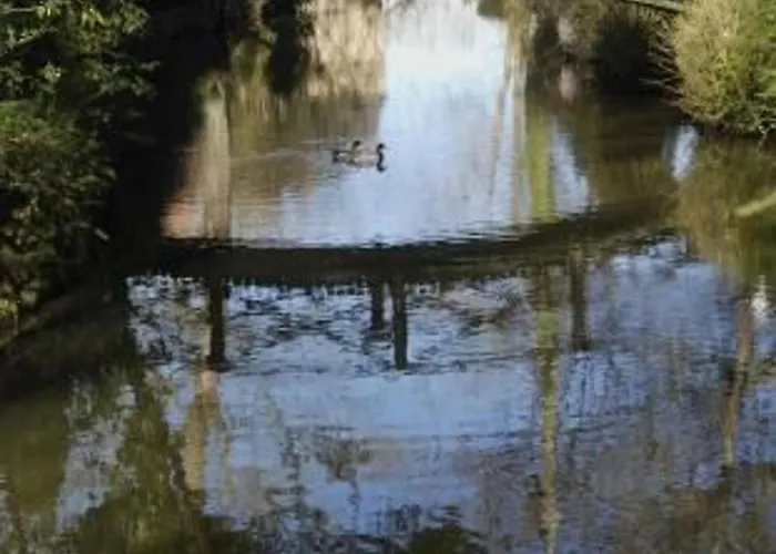 Avec Piscine Chauffee, Tennis Et Jardin Pres De Beaumont-sur-sarthe - Fr-1-410-214 * Maresché